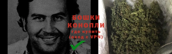 ПСИЛОЦИБИНОВЫЕ ГРИБЫ Гусиноозёрск