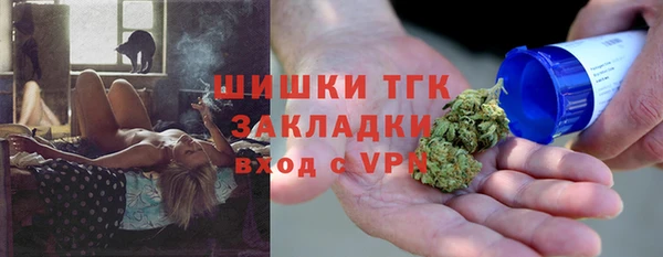 твердый Гусев