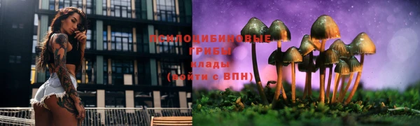 ПСИЛОЦИБИНОВЫЕ ГРИБЫ Гусиноозёрск