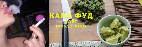 твердый Гусев