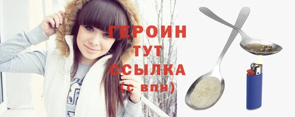 твердый Гусев