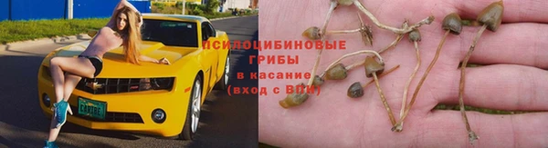 твердый Гусев