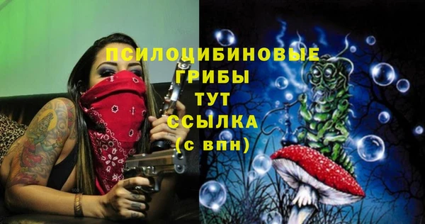 ПСИЛОЦИБИНОВЫЕ ГРИБЫ Гусиноозёрск