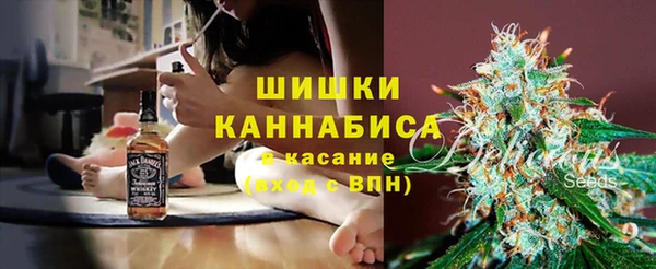 ПСИЛОЦИБИНОВЫЕ ГРИБЫ Гусиноозёрск