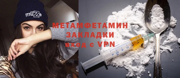 твердый Гусев