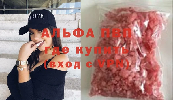 твердый Гусев